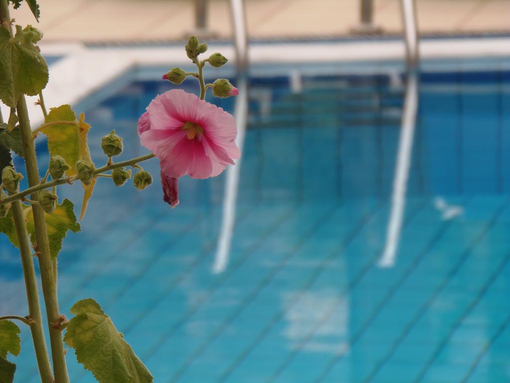 Emerald Hotel Malia  Exterior photo